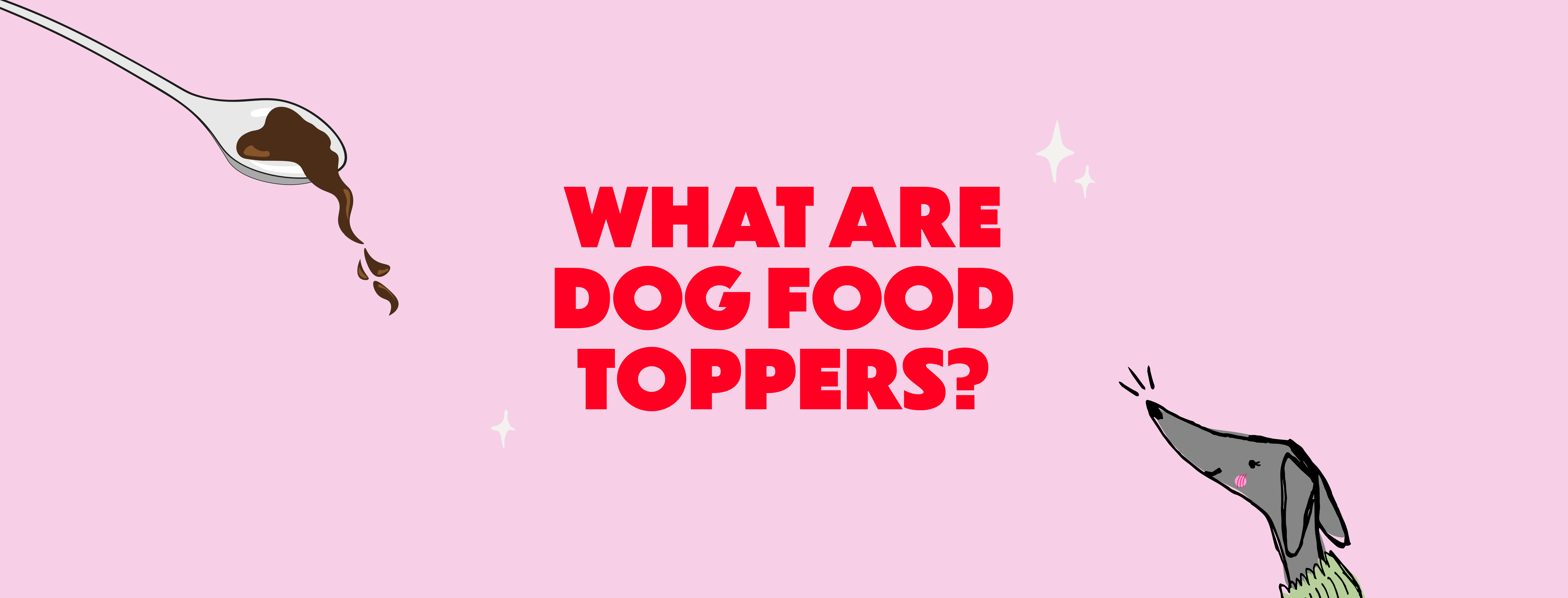 What Are Dog Food Toppers?