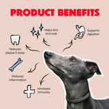 Daily Dental | 500ml