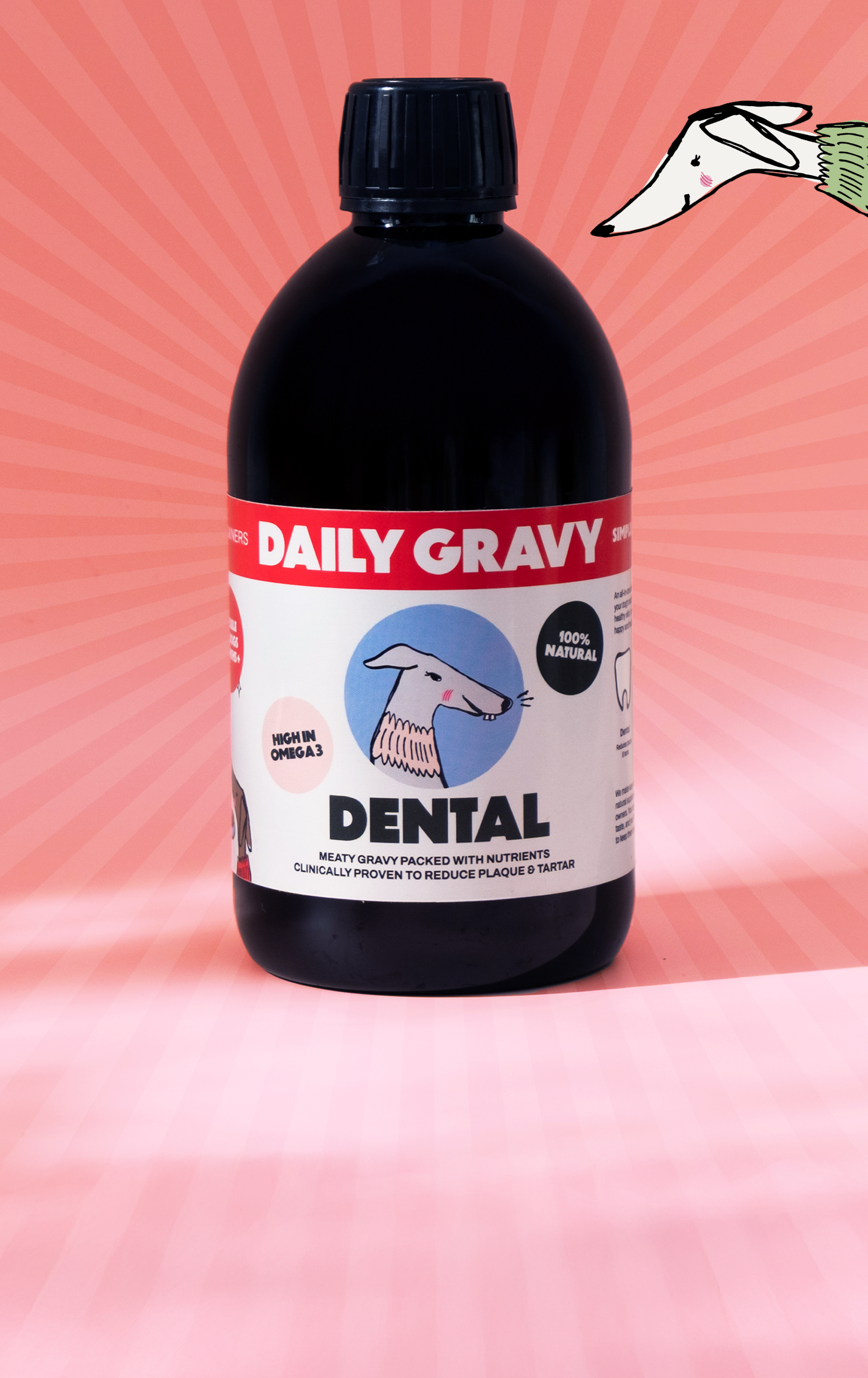 Daily Gravy Dental